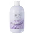 Tonuojantis šampūnas Inebrya GREYLOSOPHY Grey By Day Delicate Toning Shampoo ICE26477, 300 ml Online now