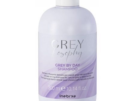 Tonuojantis šampūnas Inebrya GREYLOSOPHY Grey By Day Delicate Toning Shampoo ICE26477, 300 ml Online now