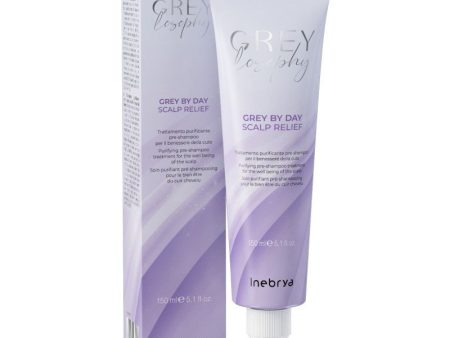 Valomoji galvos odos priemonė Inebrya GREYLOSOPHY Grey By Day Scalp Relief Purifying Pre-Shampoo Treatment ICE26476, naudojama prieš plaukų plovimą, 150 ml Online Hot Sale