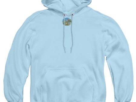 WILDLIFE : ORIOLES AND FARM ADULT PULL OVER HOODIE LIGHT BLUE XL Online